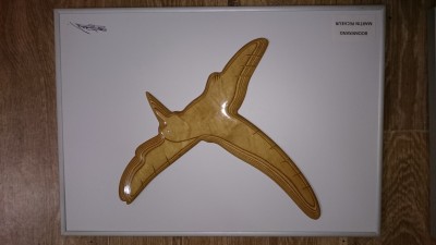 DSC_0056.JPG