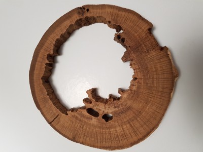 Dessous de plat chêne